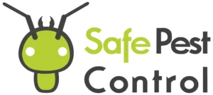 cropped-wasp-Pest-Control-Sydney-scaled-1.webp